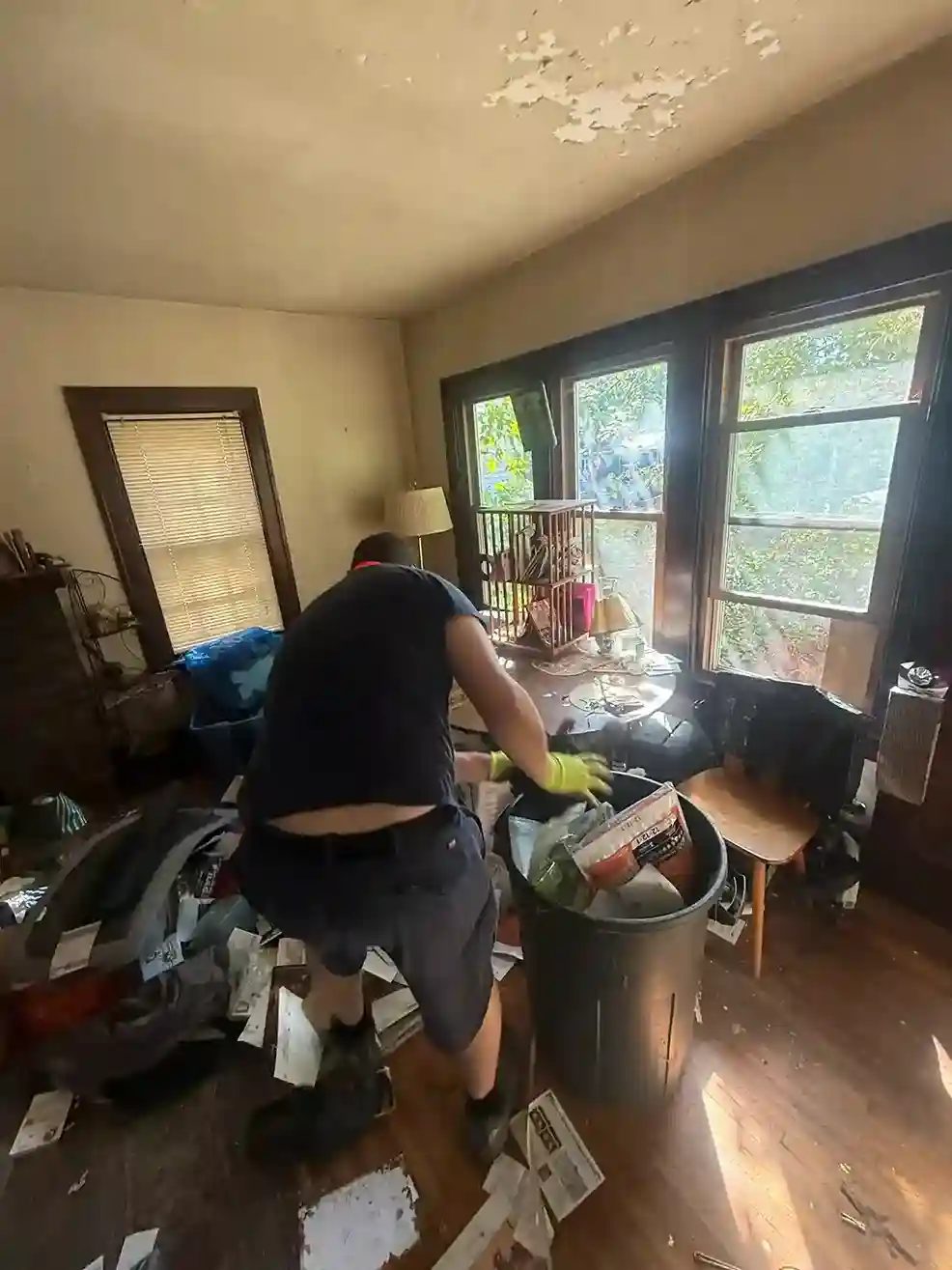 Living room cleanout in progress