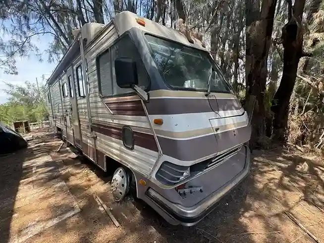 Motorhome parked in the woods