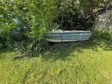 Small boat in brush